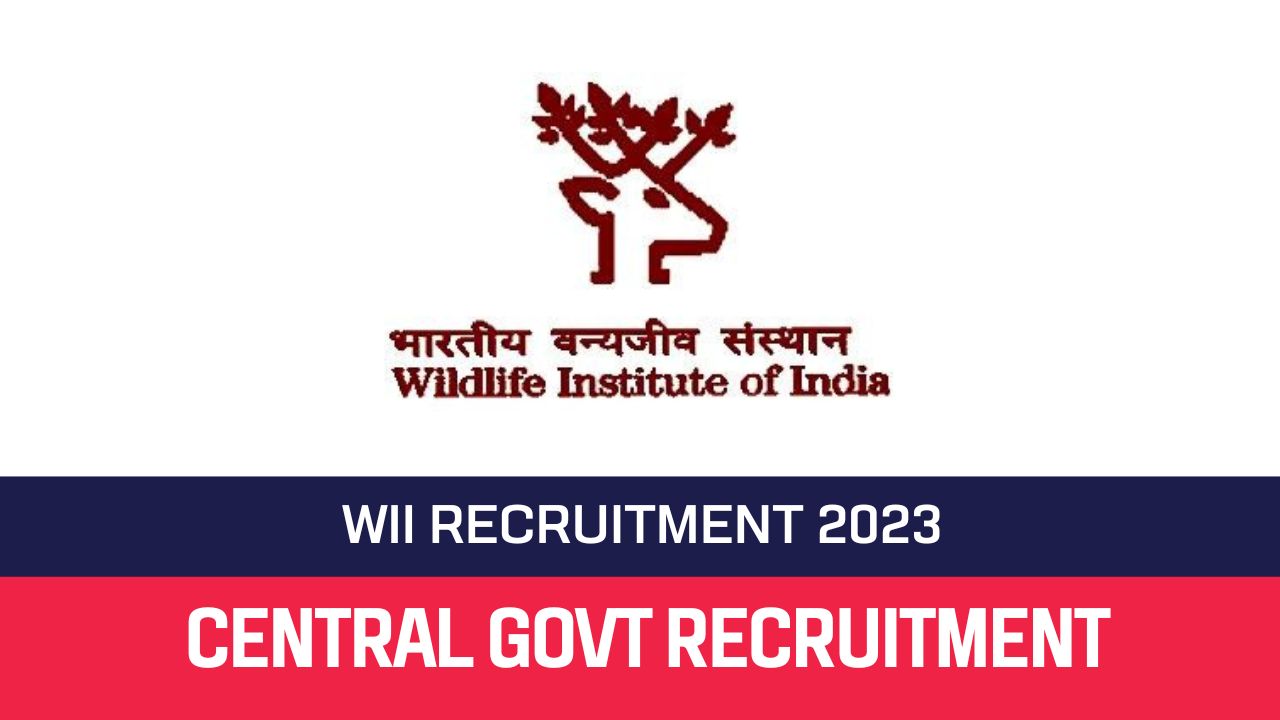 WII Recruitment 2023 15 MTS & Assistant Posts