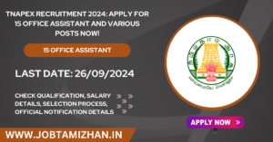 Read more about the article TNAPEx Recruitment 2024: Apply for 15 Office Assistant and Various Posts Now!